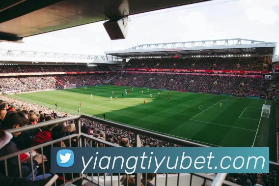 App Interface Preview